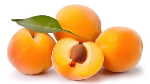 Абрикос