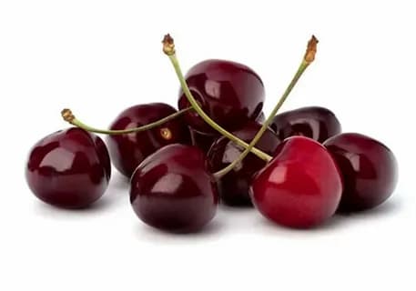 ДЮК (Гибрид черешни и вишни)