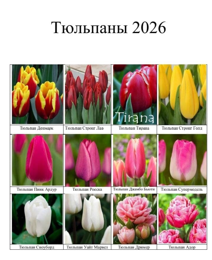 Товары для сада